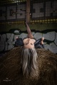 Messenger_creation_C3AB858B-