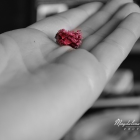 DSC_0160