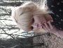 DSC01523.JPG