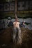 zdjęcie: Messenger_creation_C3AB858B-