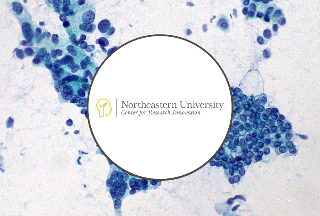 Northeastern University Technology Transfer Case Study - IN-PART - Blog Header_1.0