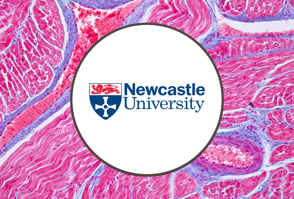 Newcastle University Testing Proprietary Compounds - IN-PART Case Study - Blog Header 1