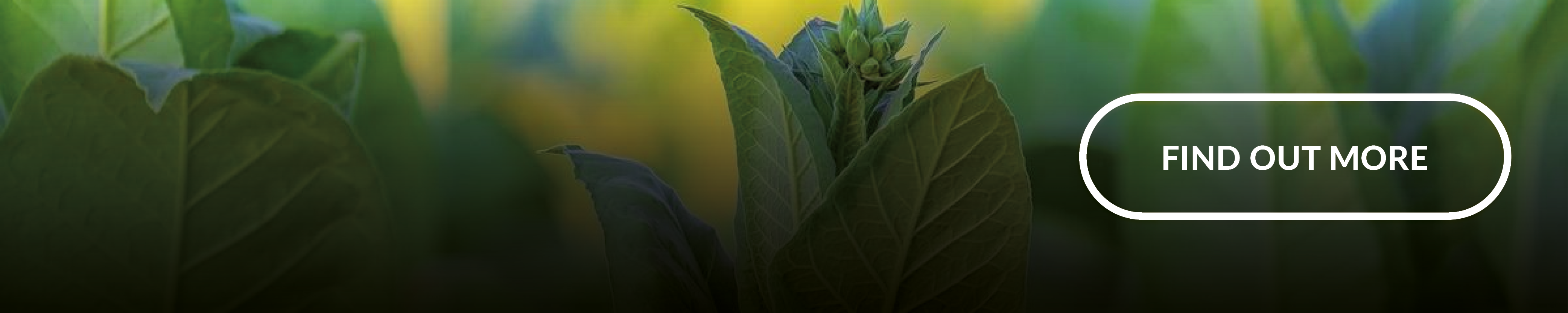 IN-PART blog - biotechnology innovations - in-line image