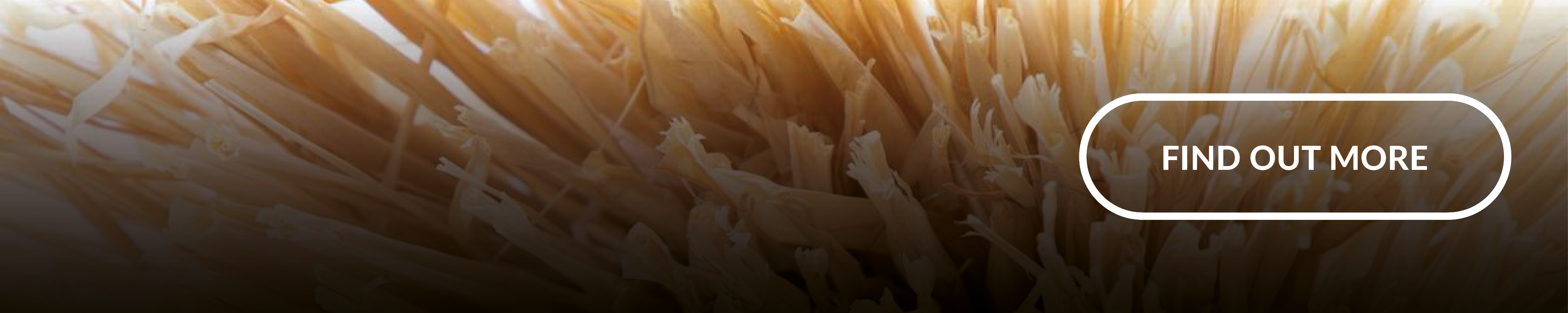 IN-PART blog - biotechnology innovations - in-line image