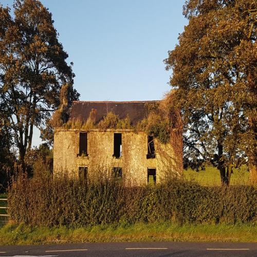 From New Zealand to Westmeath