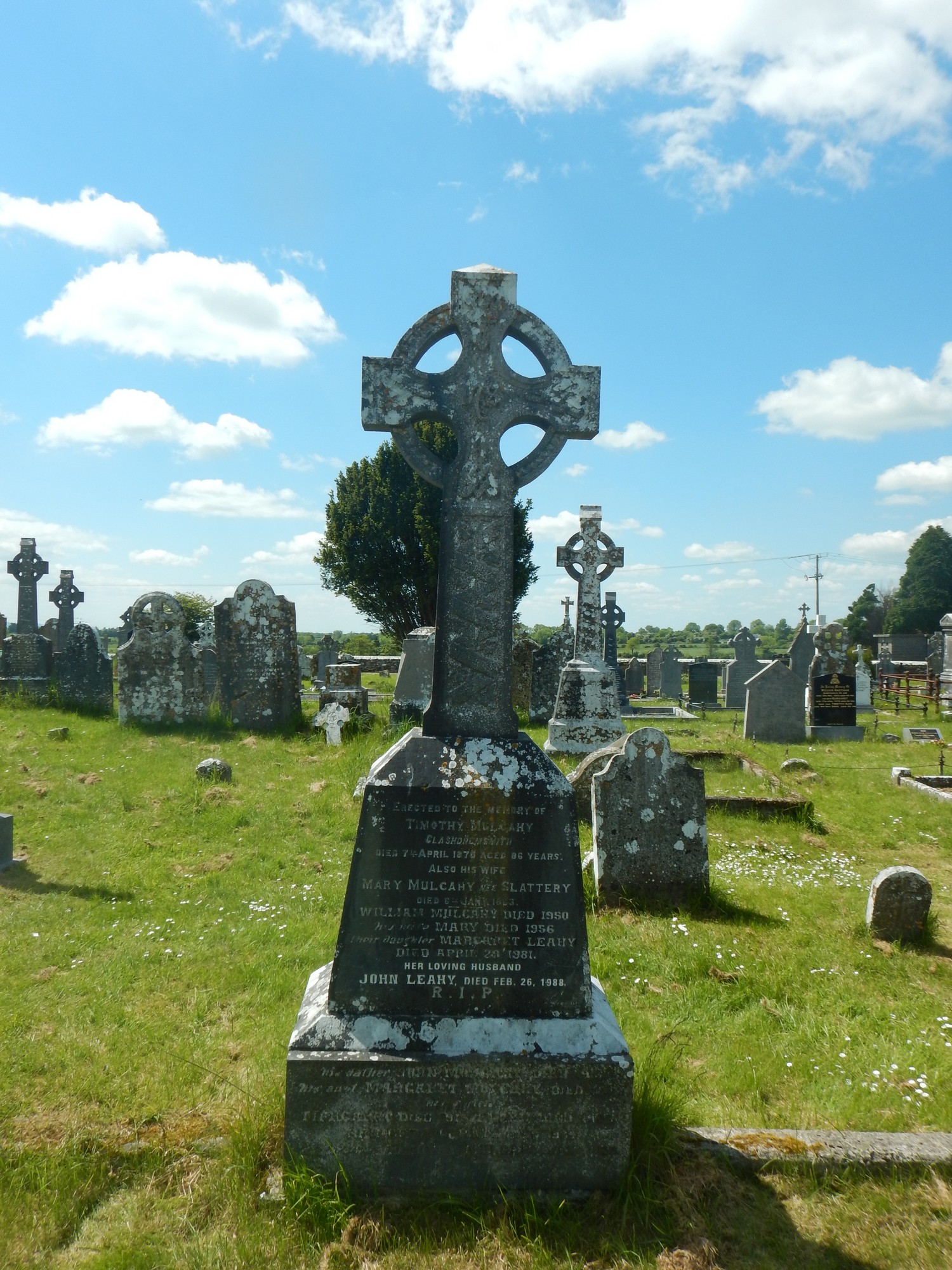 Timothy Mulcahy