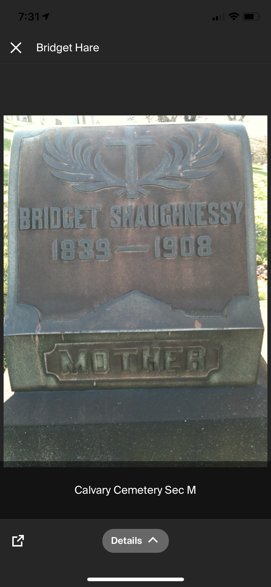 Bridget Hare Shaughnessy