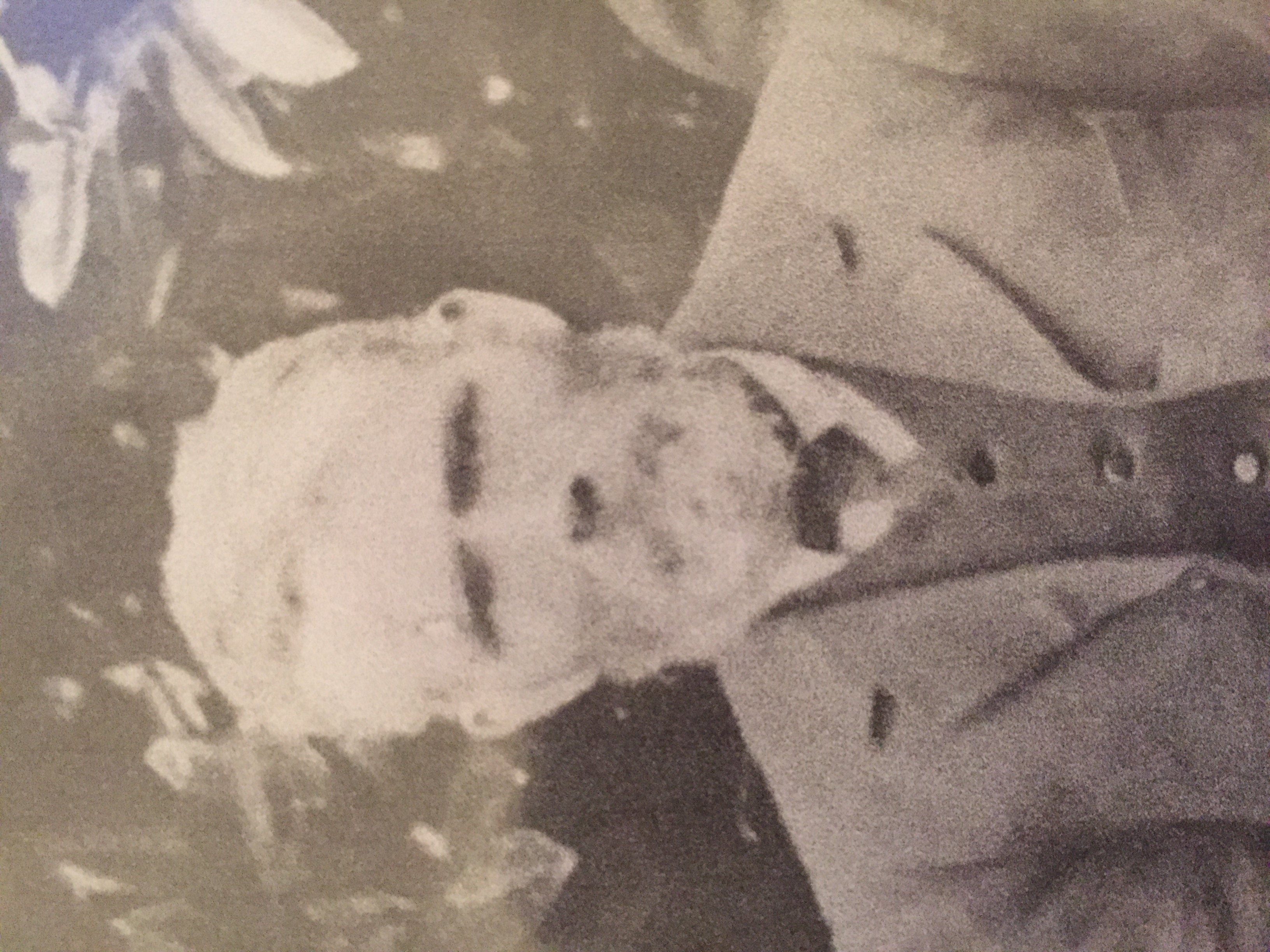 Michael Foley