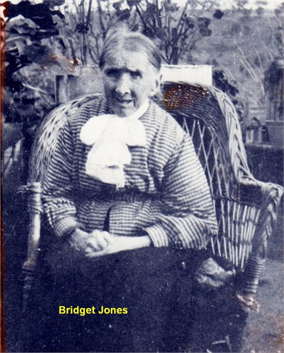 Bridget Donaho