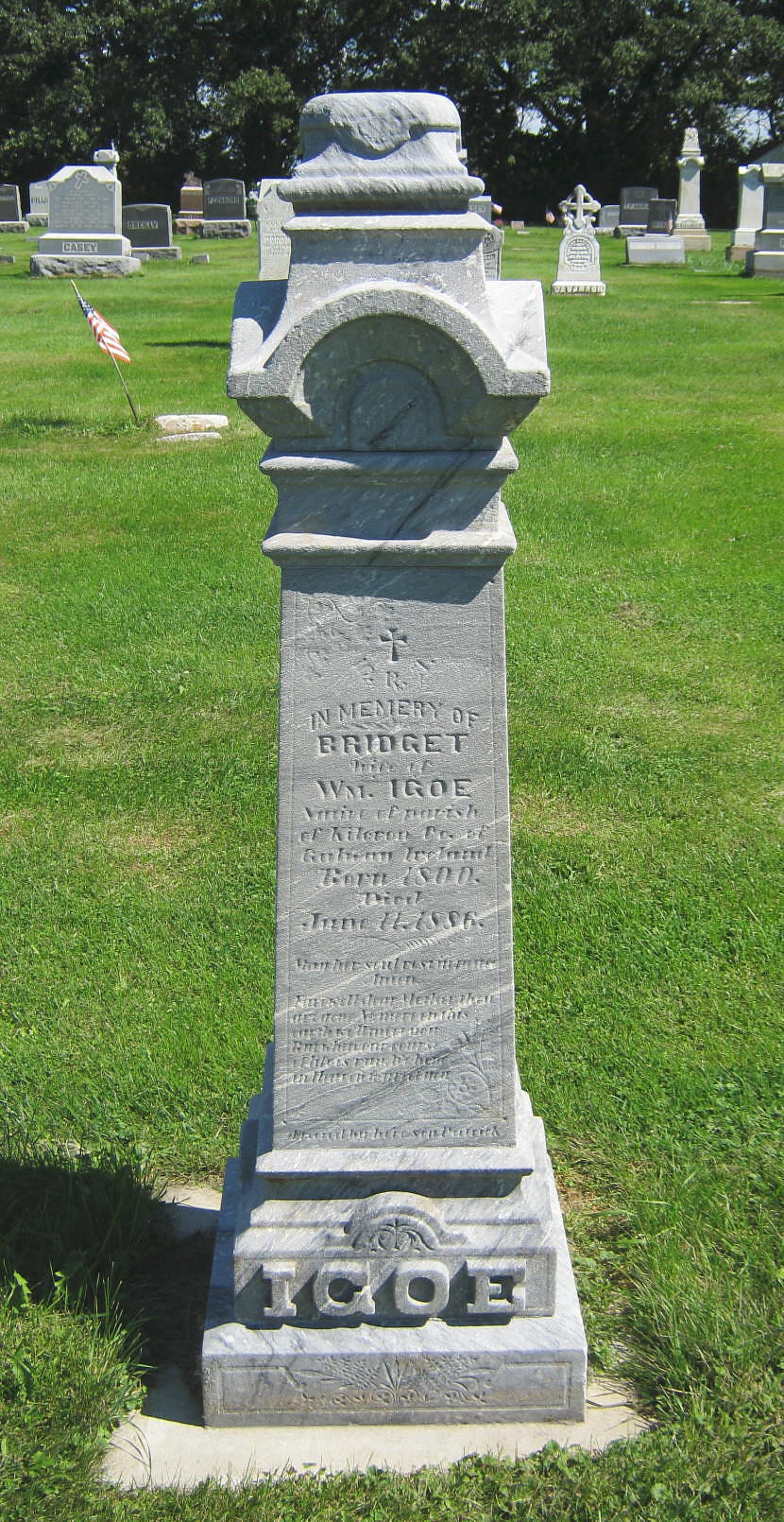 Bridget Ward Igoe