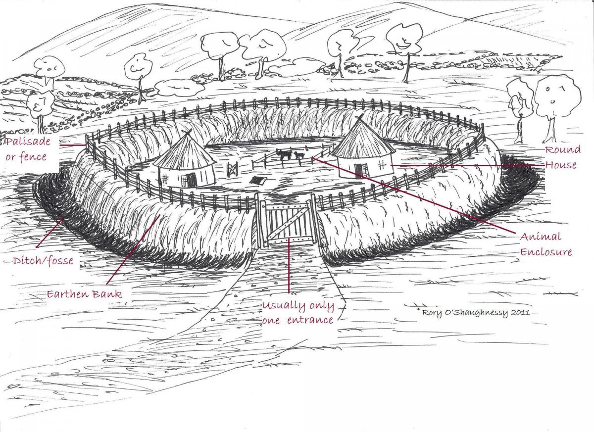 The Ringfort