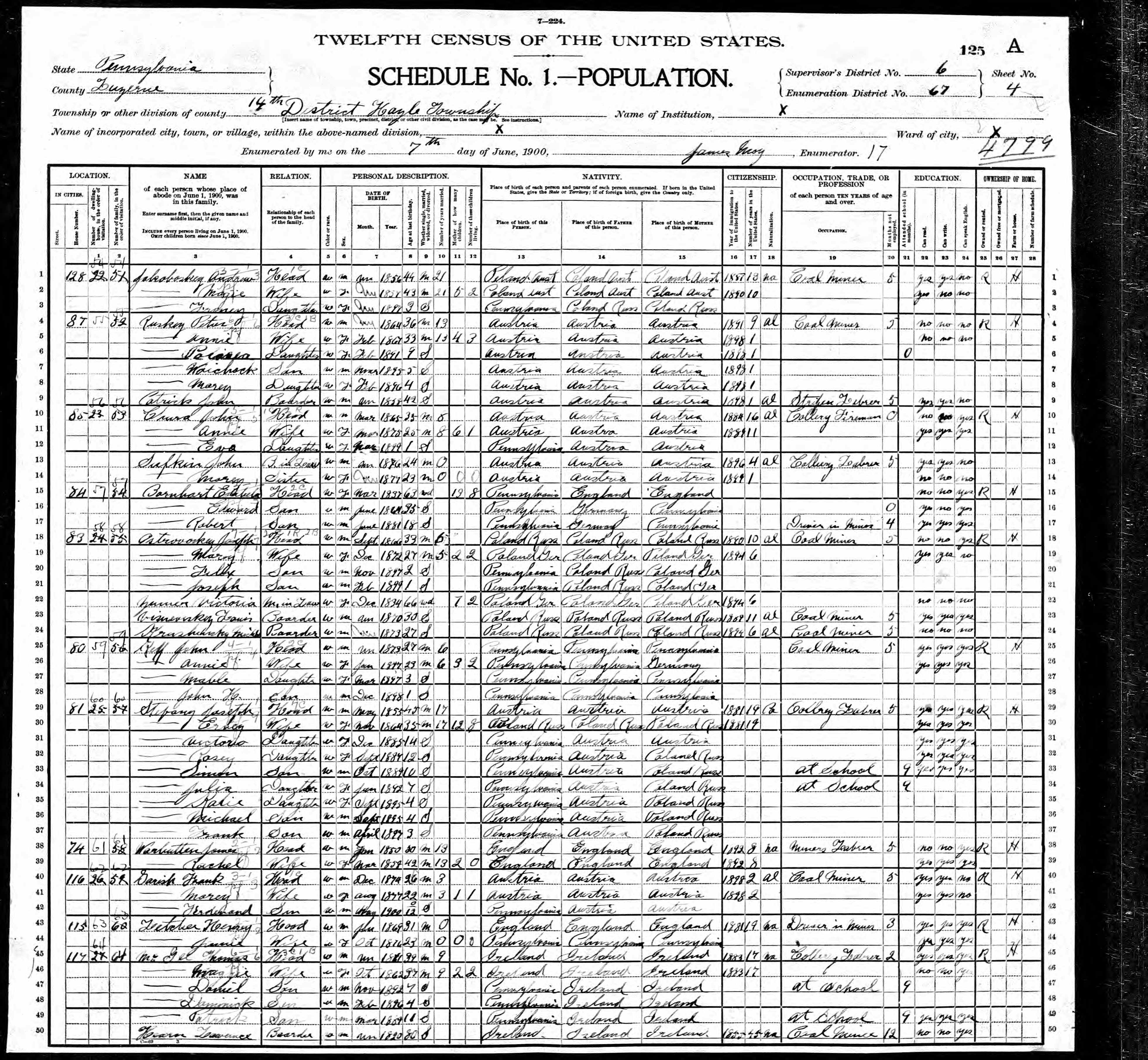 1900 Census (McGee) (Boyle)