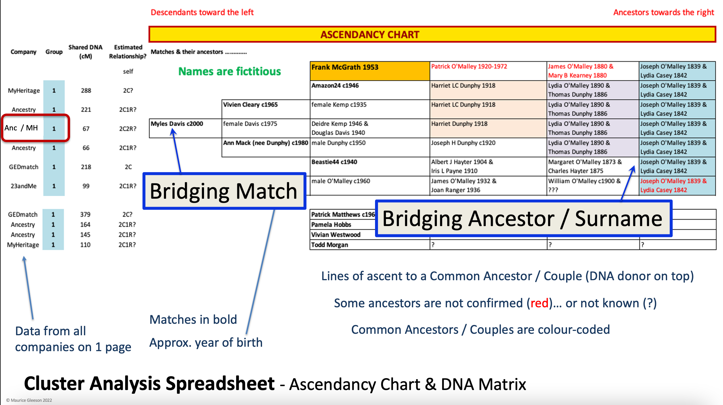 DNA Cluster Analysis Example