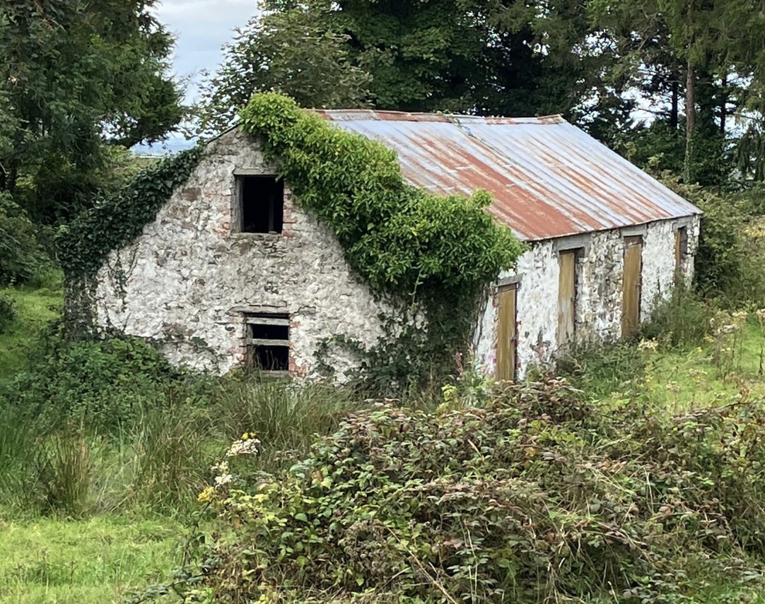 Skip the tin roof and you have their house