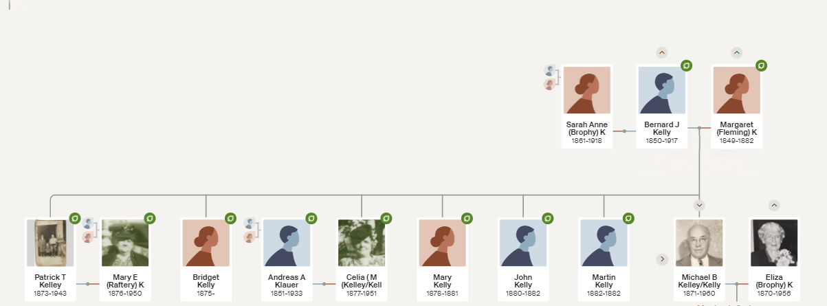 Kelly Family Tree
