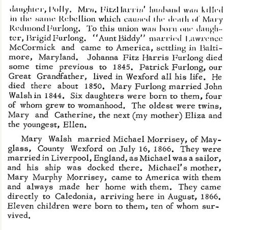 Furlong Family of Clongeen, Wexford