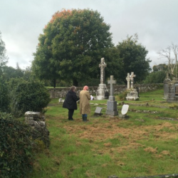Oldcourt Graveyard, Doneraile, Co. Cork Oldcourt Graveyard, Doneraile, Co. Cork