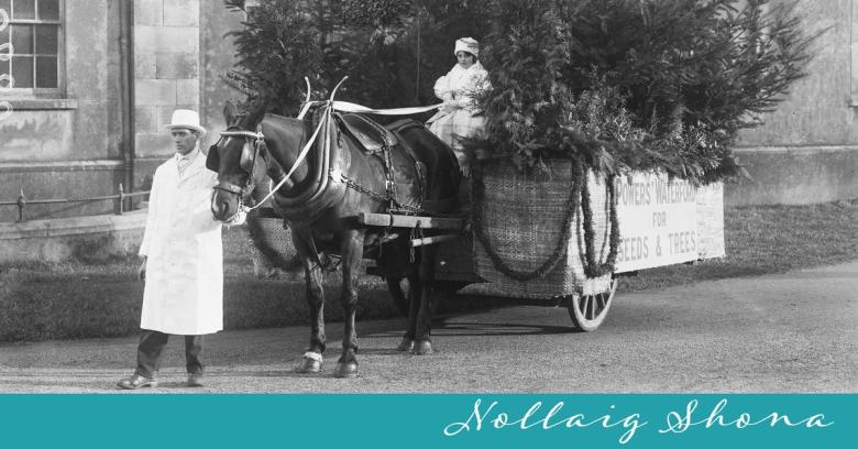 NollaigShona21 1200x628 NollaigShona21 1200x628