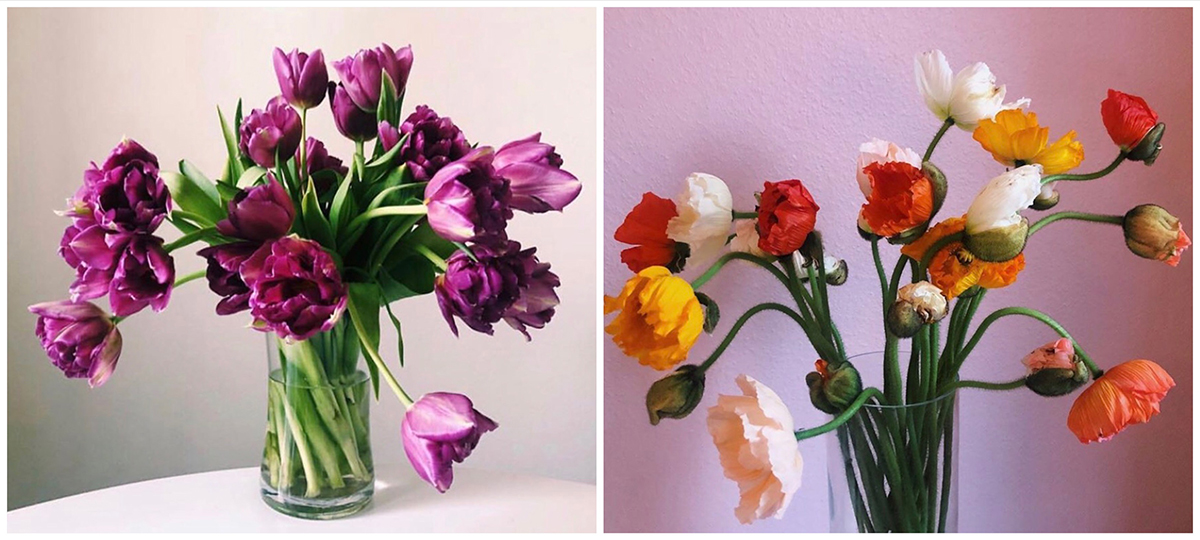 tips på hur du man tar hand om dina snittblommor