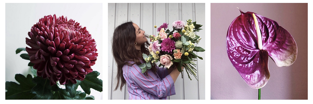 tips på hur du man tar hand om dina snittblommor