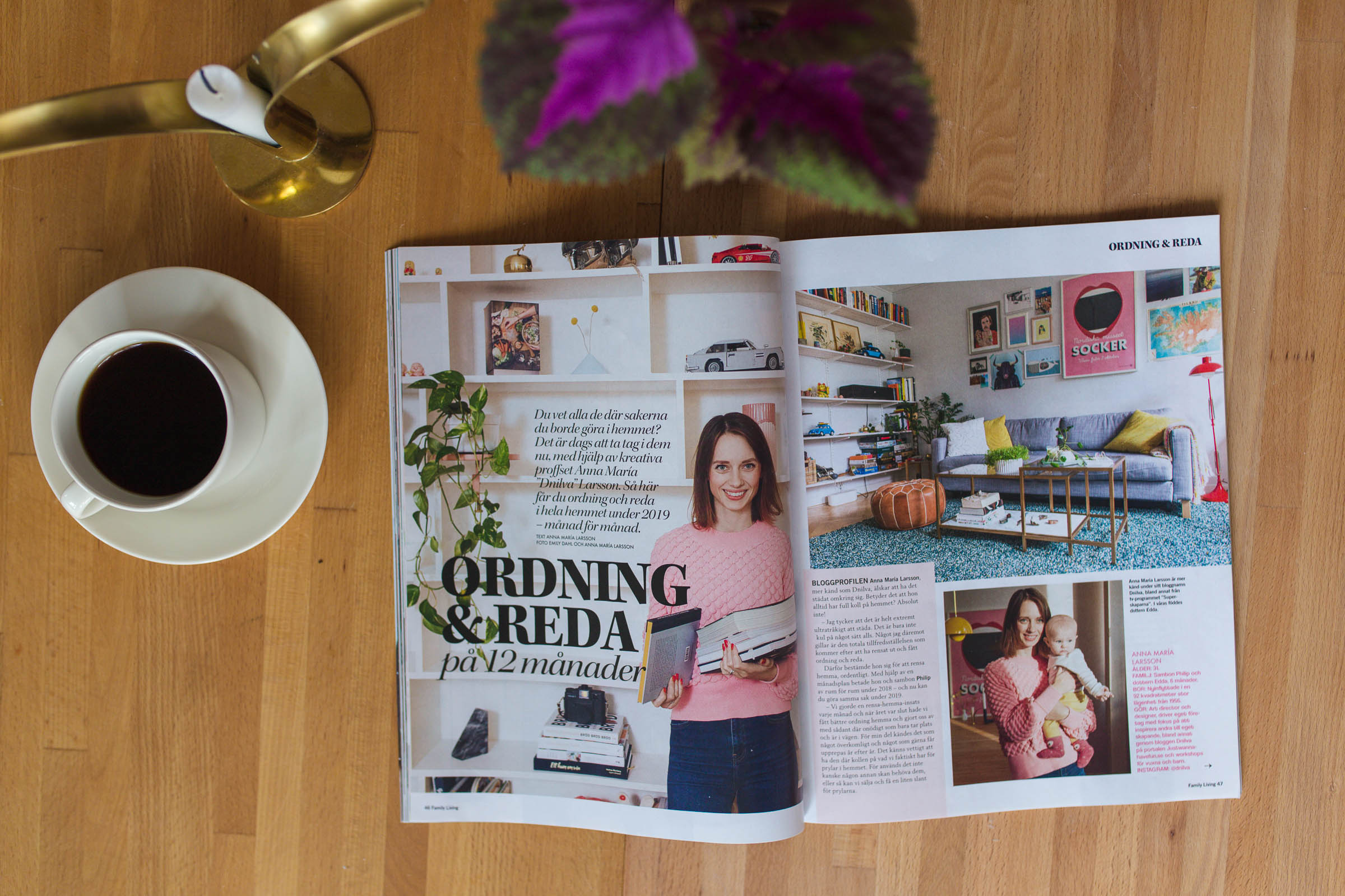 Family Living - Rensa hemma