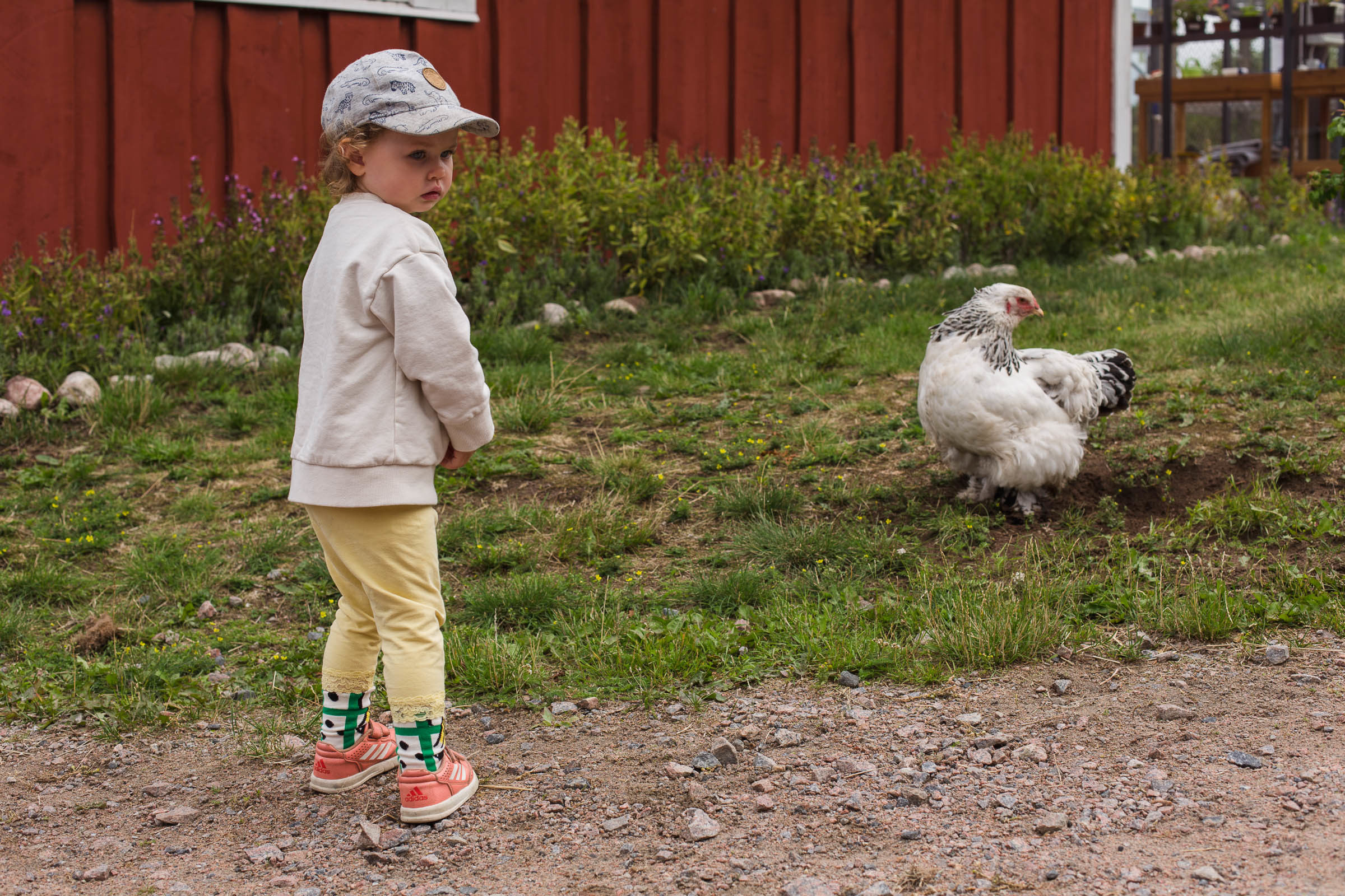 Olofstorps djur & trädgård