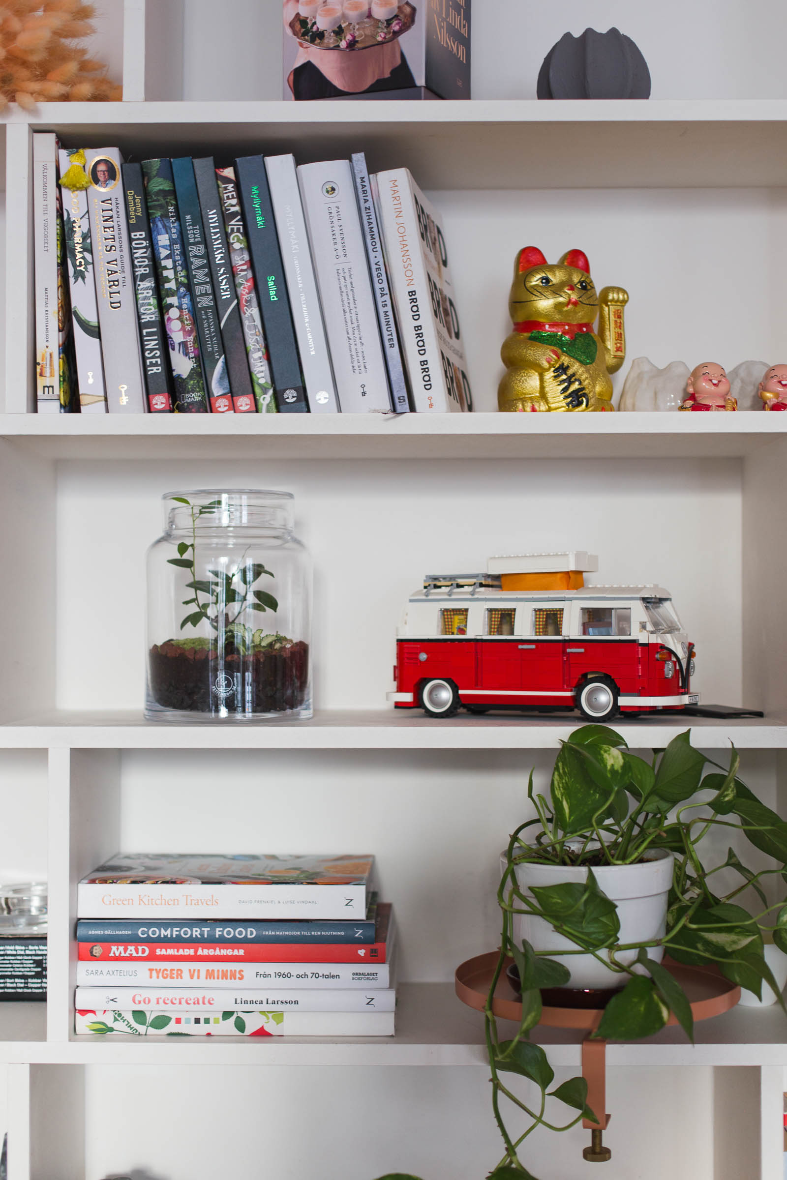 Petit jardin - Terrarium