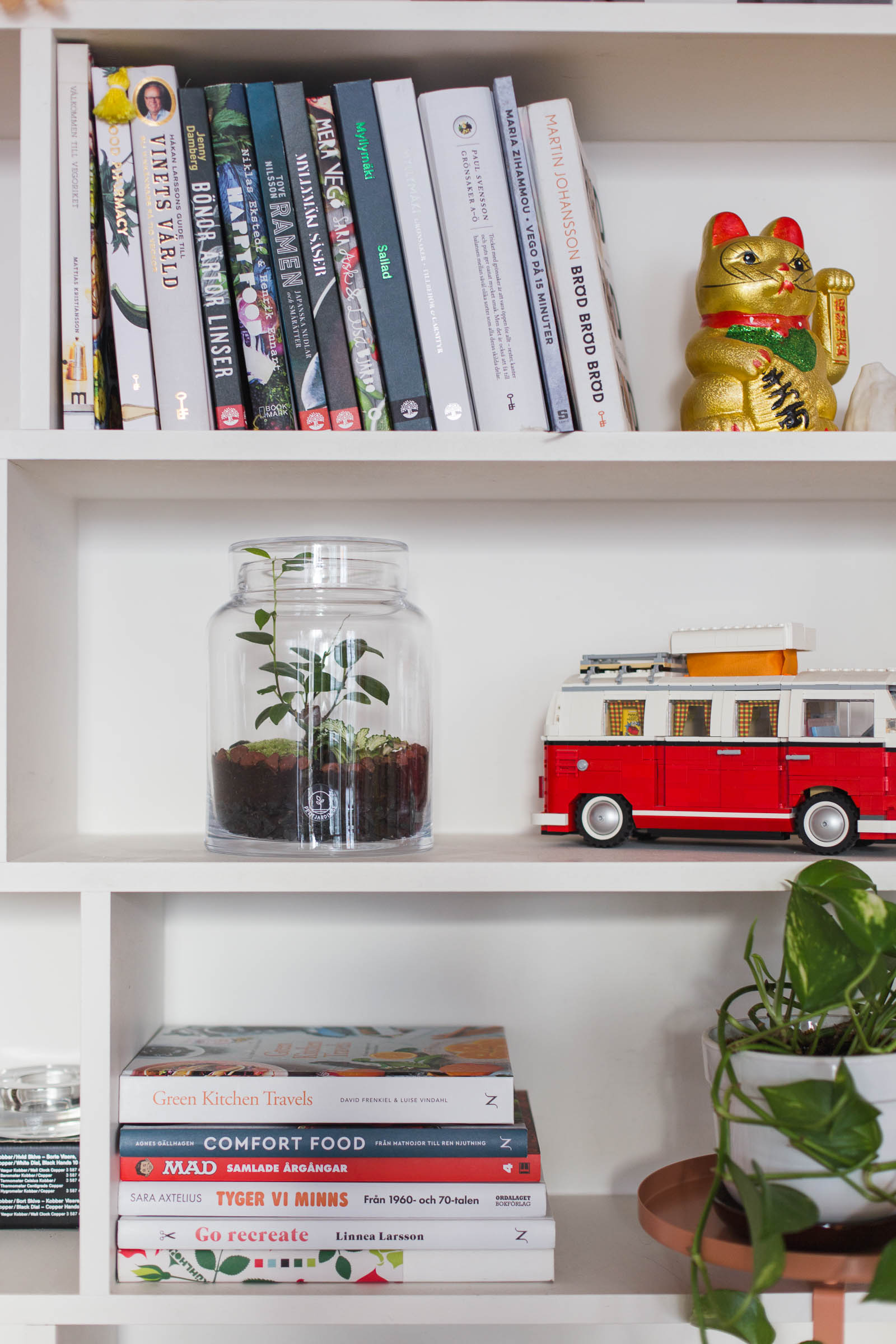 Petit jardin - Terrarium