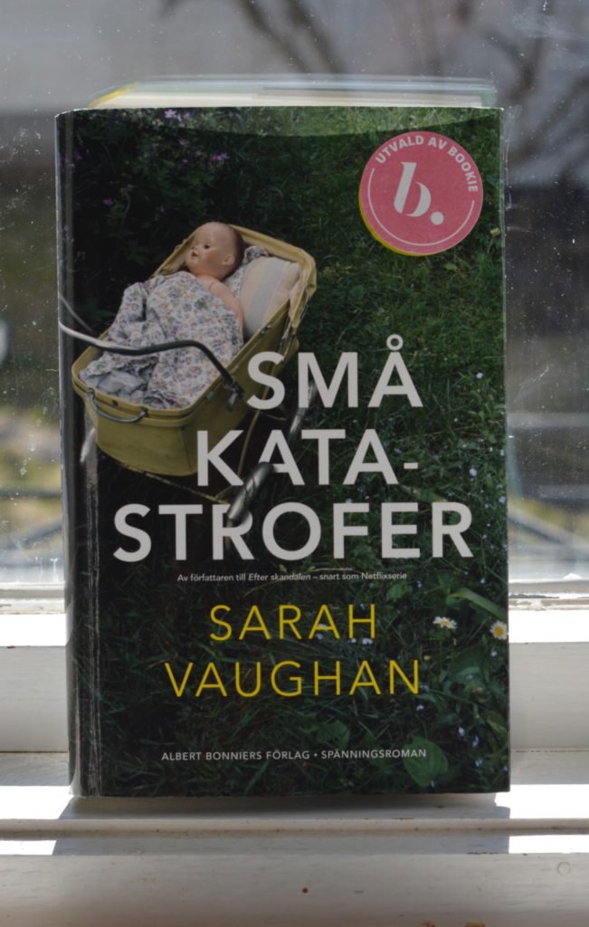 Små katastrofer av Sarah Vaughan, uppställd i ett fönster.