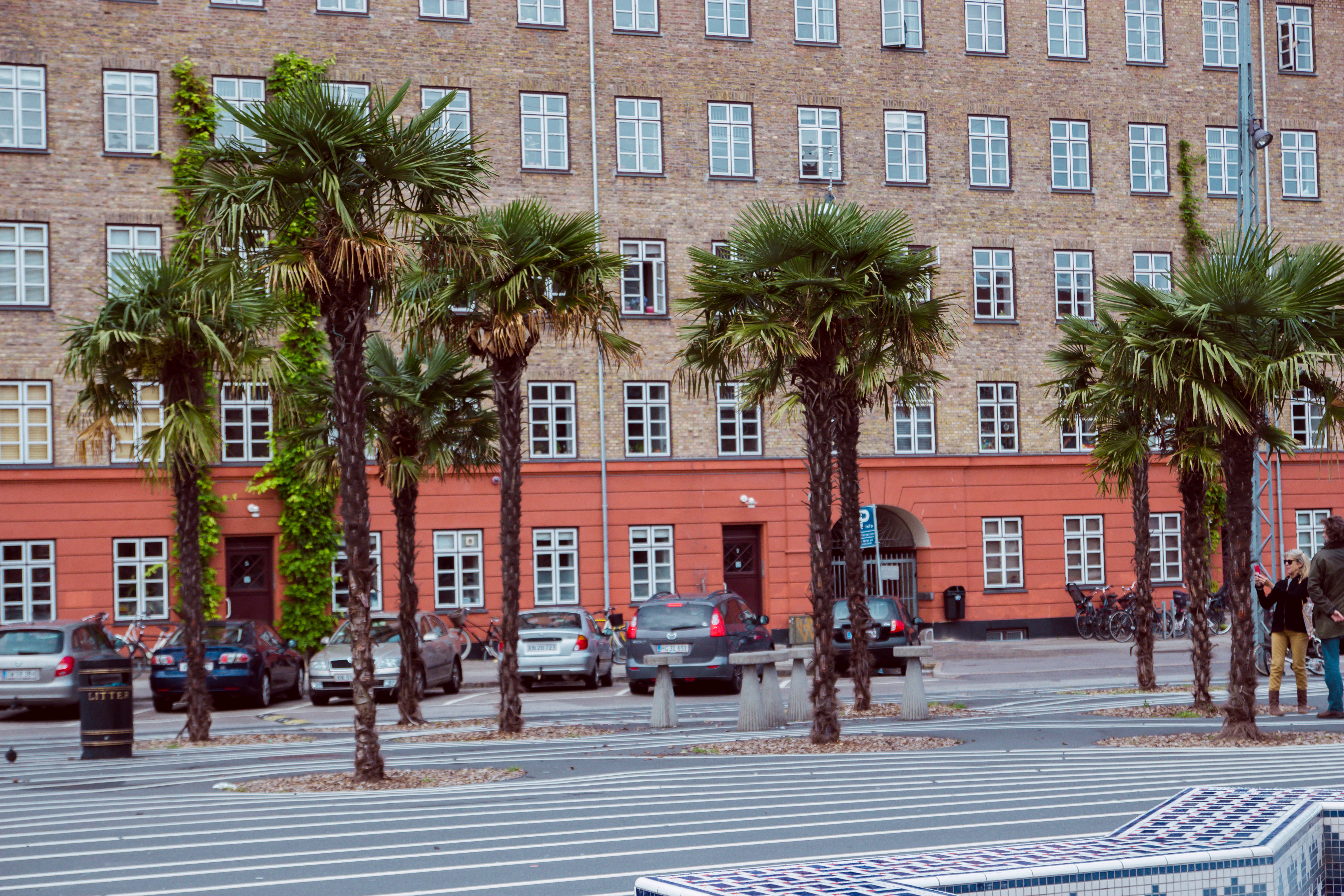 En lördag i Nørrebro i Köpenhamn
