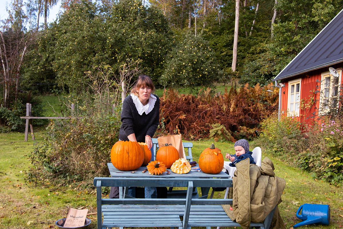 Pumpafält i Skåne, Halloween