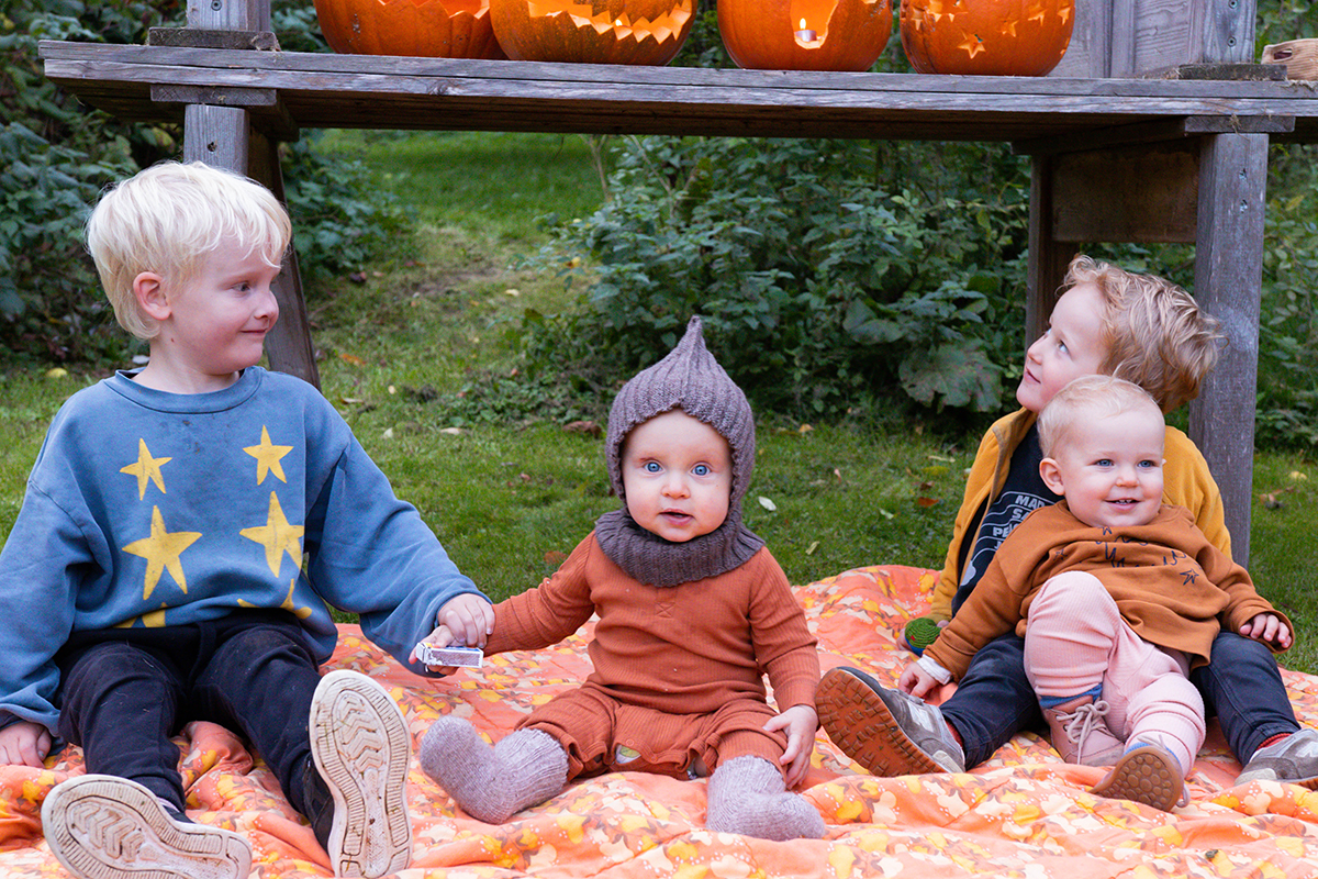 Pumpafält i Skåne, Halloween