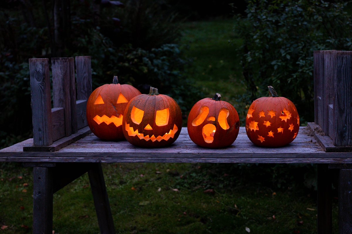 Pumpafält i Skåne, Halloween