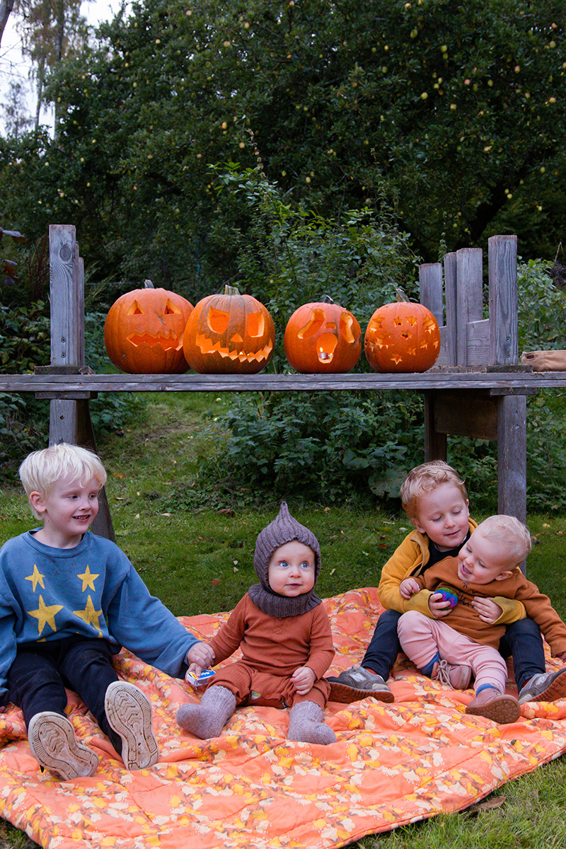 Pumpafält i Skåne, Halloween