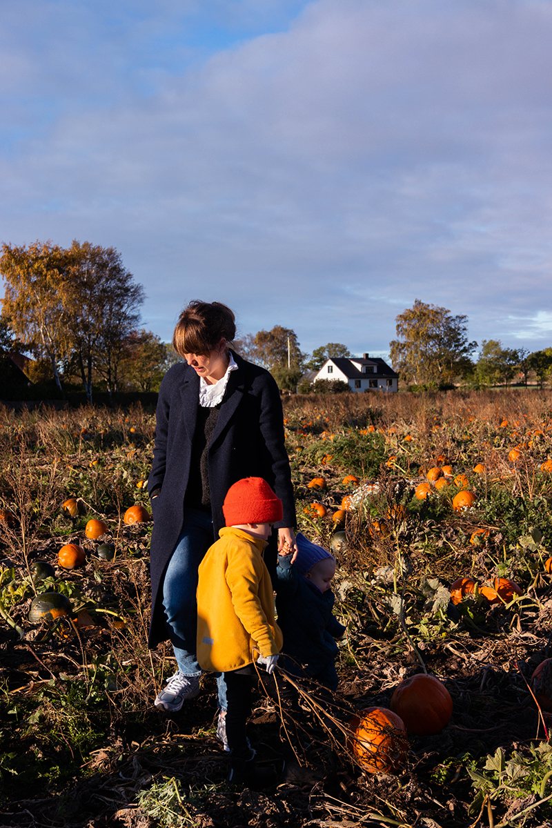 Pumpafält i Skåne, Halloween