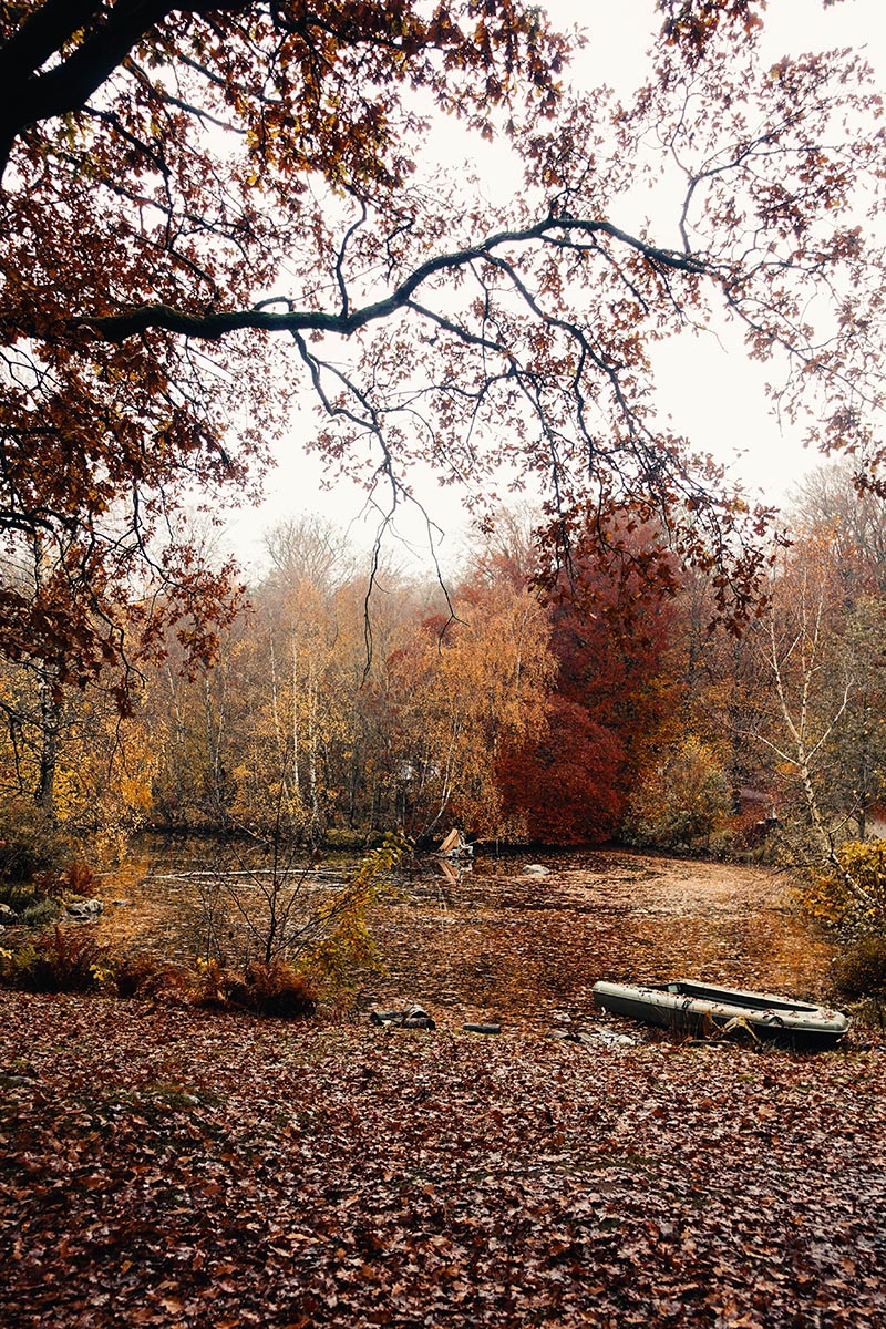 Skånesdjurpark på hösten