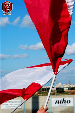 צילום: תומר פלד