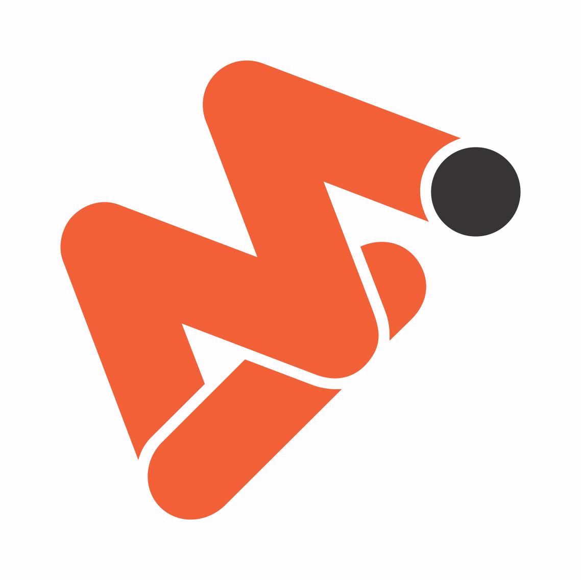 MODENZA INTERNATIONAL  logo