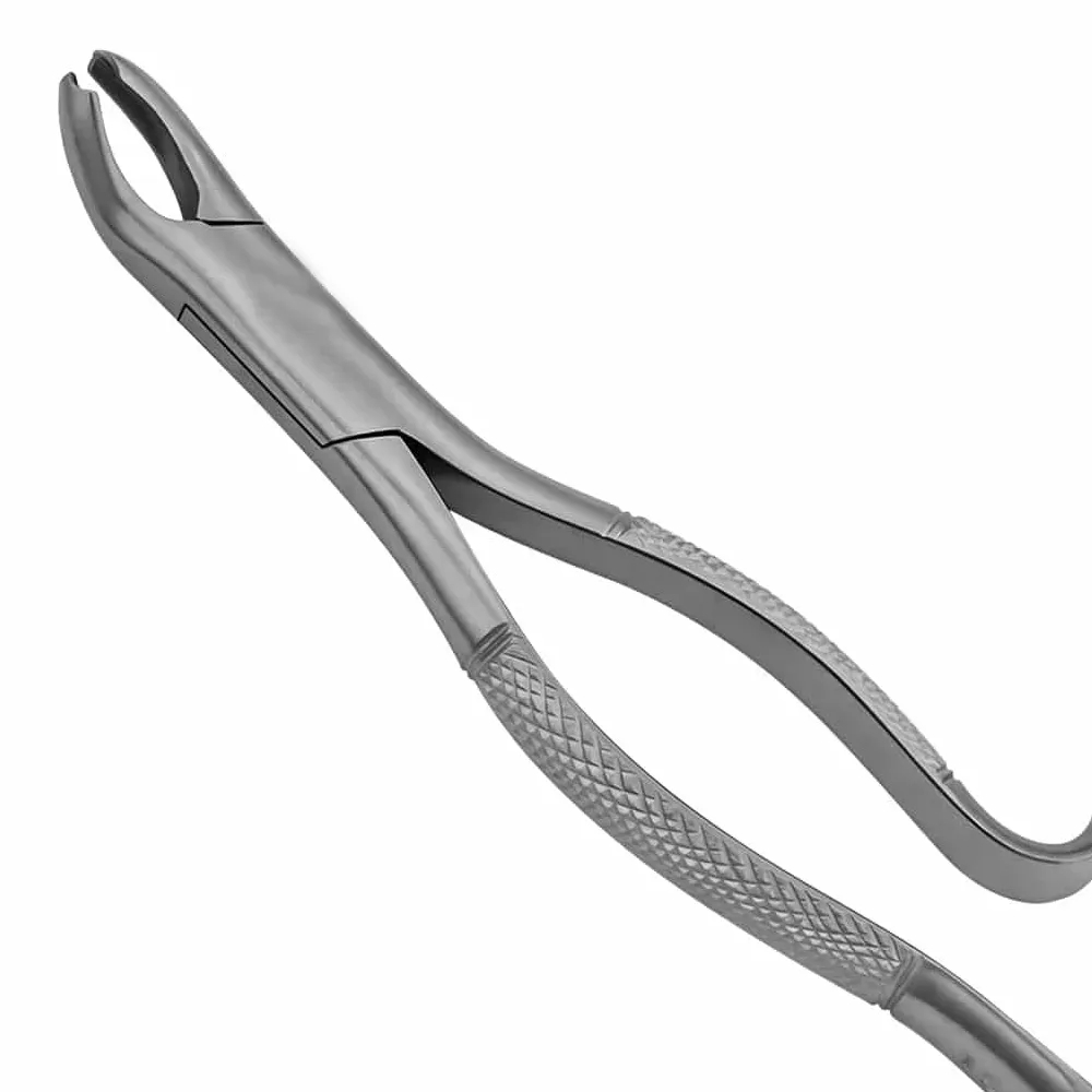 Good Quality Dental Tooth Extracting Forceps image
