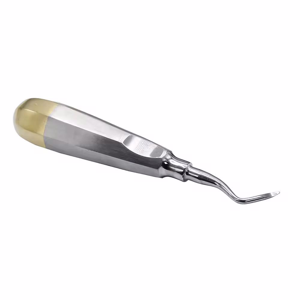 Customized Dental Root Elevator Straight & Curved Elevator image
