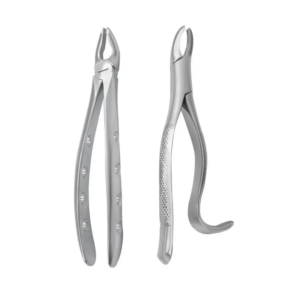 Tooth Extracting Forceps 2024 image