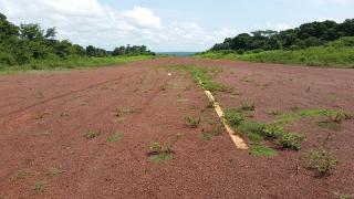 Humanitarian Cargo Transportation in Central African Republic