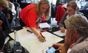 Media Image : p9253876.jpg