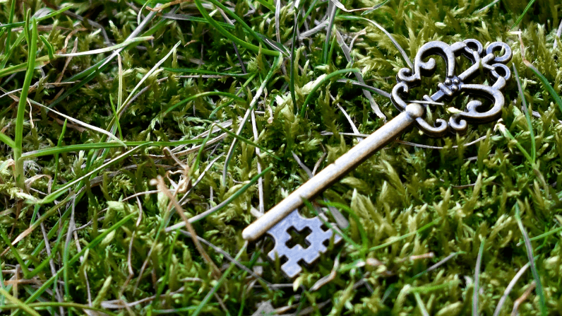 The owners of the keys to the walled gardens are the ones who truly profit off your work.