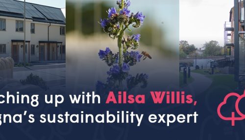 Ailsa's career