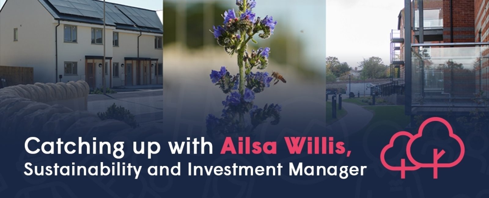 Ailsa willis naw26 banner2