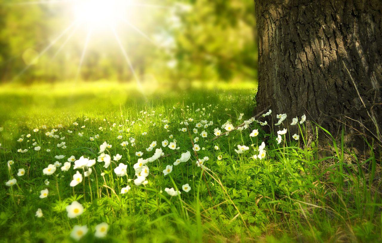 Spring 2