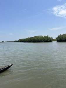 Gogotinkpon - Benin Republic