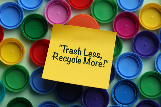 sustainable fashion guides and recommendations