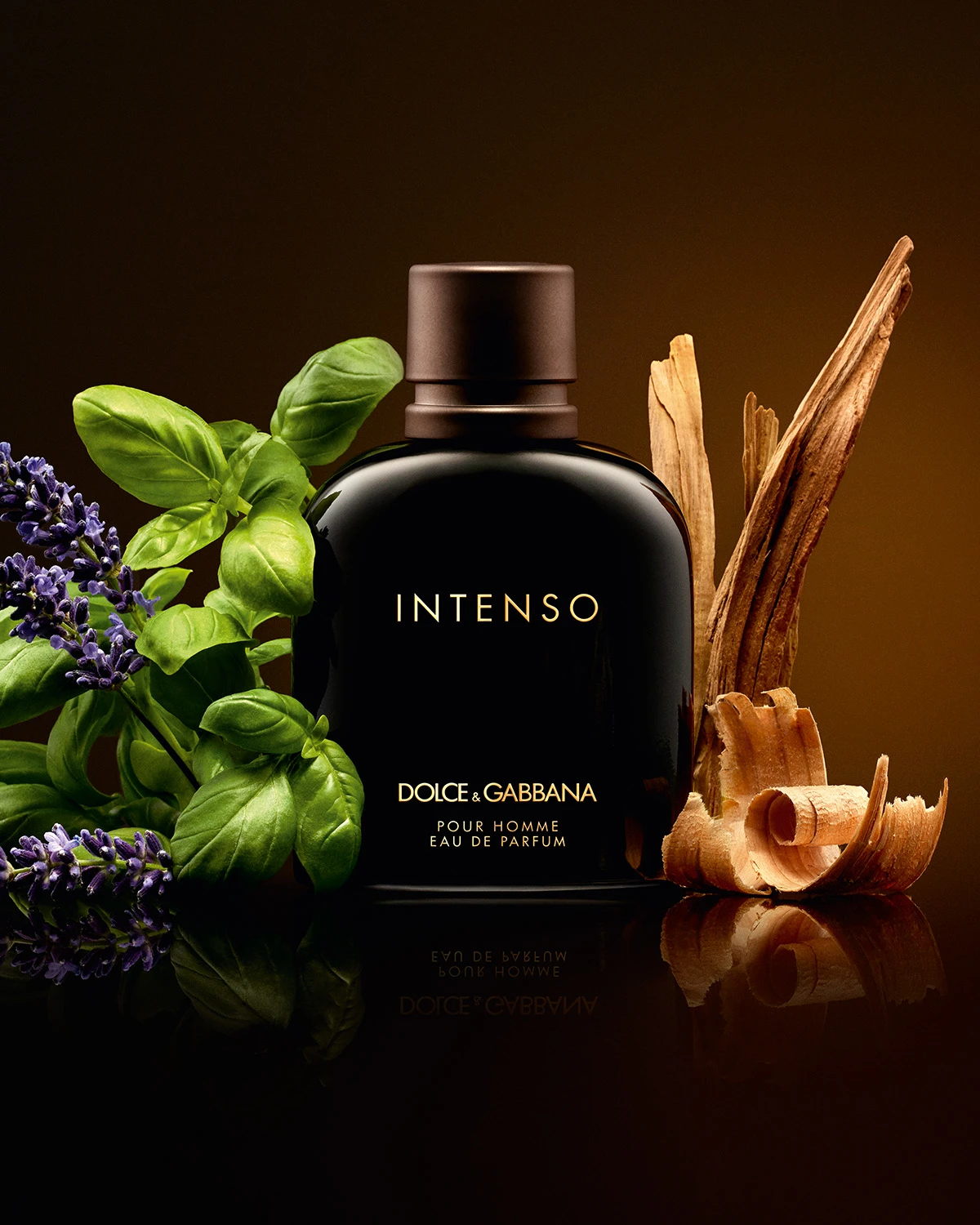 Dolce & Gabbana Intenso perfume via dolcegabbana.com
